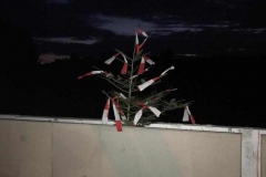 IMG-20211108-WA0039