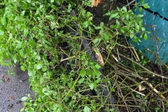 Einsatz_07.05.2022-3