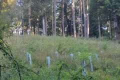 IMG-20230906-WA0001