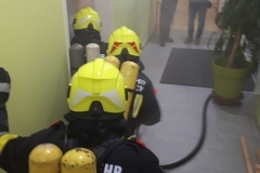 bung_Habit_17-2-e1515182462447